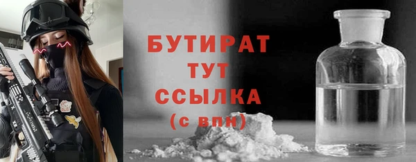 шишки Корсаков