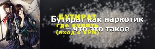 шишки Корсаков